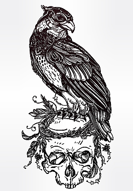 雄鷹骷髏插畫