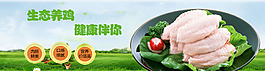 雞肉海報設計