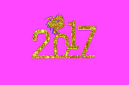 2017年