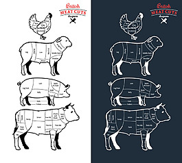 家禽家畜肉類結構