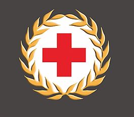 紅十字立體LOGO
