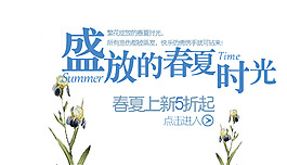 盛夏的美好时光
