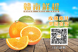 臍橙推銷傳單