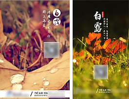 二十四节气之白露