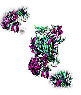 動物插畫