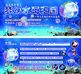 水母展