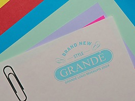 書籍logo樣機展示