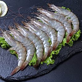 野生海蝦大蝦詳情