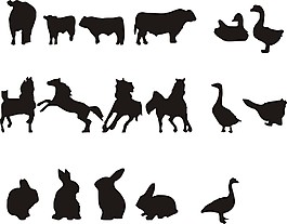 動物