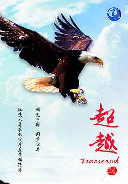 超越——鷹
