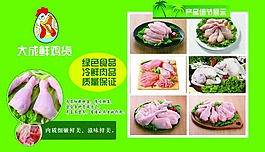 鸡肉鲜美绿色整齐排版