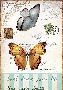 美麗的蝴蝶油畫圖片