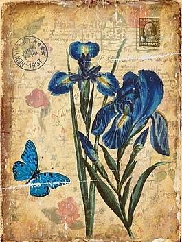 美麗的蝴蝶油畫圖片