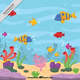 彩色魚的海底背景
