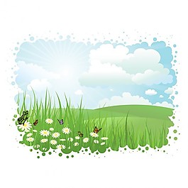 在草地的蝴蝶和雛菊夏日風(fēng)景