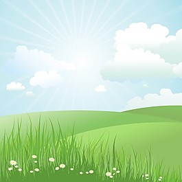 雛菊在草夏季景觀
