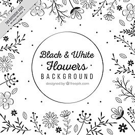 Flowers在黑色和白色的手绘