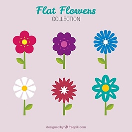 五顏六色的花