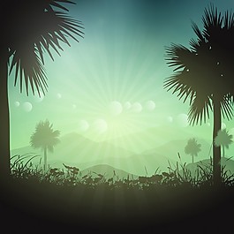 夏季背景與棕櫚樹景觀