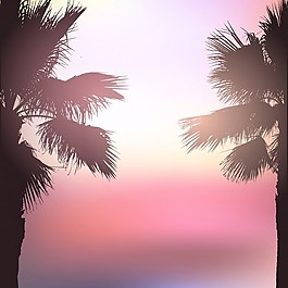 具有模糊效果的棕櫚樹景觀背景