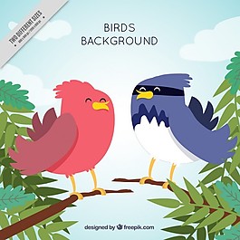 好的熱帶鳥(niǎo)類(lèi)背景
