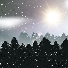 美麗的圣誕樹景觀