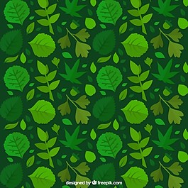 绿叶绿色背景