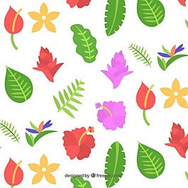 各種花卉背景