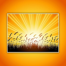 麥田的剪影，落日的天空