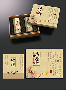 時(shí)尚產(chǎn)品盒設(shè)計(jì)圖片