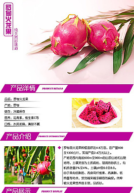 火龍果詳情