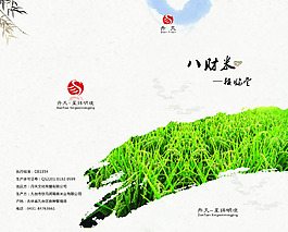 大米畫冊(cè)
