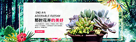 多肉植物海報