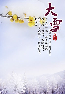 大雪 雪景 臘梅 節氣圖片