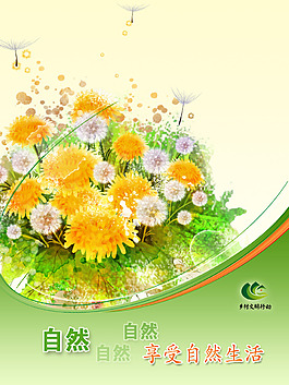 美丽的菊花绿色展板