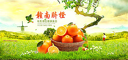 淘寶贛南臍橙子