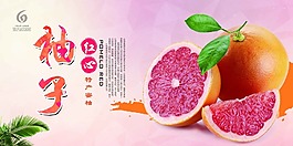 水果柚子海報(bào)