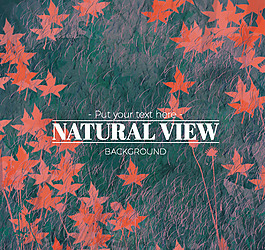 紅色葉子背景