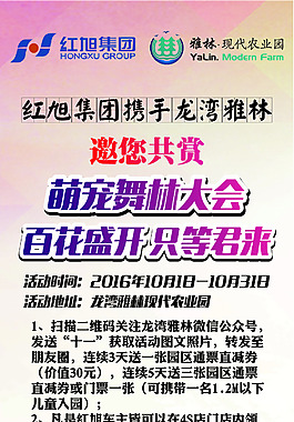 百花節(jié)展架