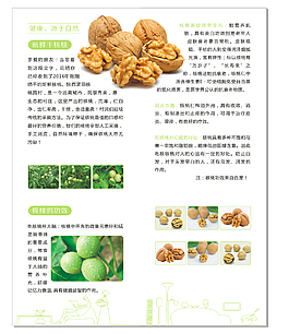 綠色水果宣傳折頁