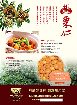 板栗单页 海报
