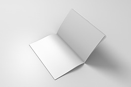 畫冊樣機模板