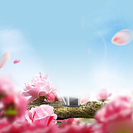 唯美木棉花淘寶背景