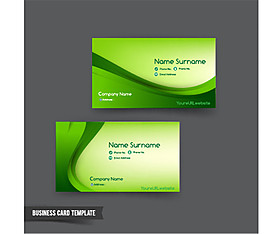 精美商務(wù)名片設(shè)計矢量圖制作