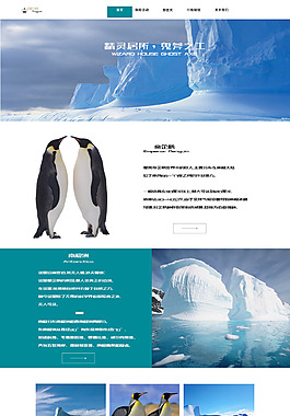南極首頁