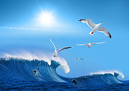 大海 浪花 蓝天 海鸥 海边