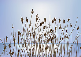 夕陽背景矢量