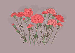 康乃馨花朵矢量
