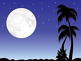 浪漫月光夜景