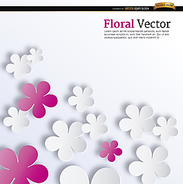 粉紅和白色的花背景